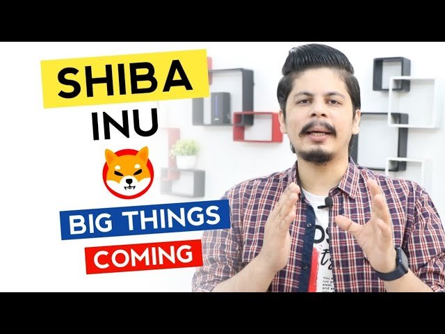 Shiba Inu Big Things Coming